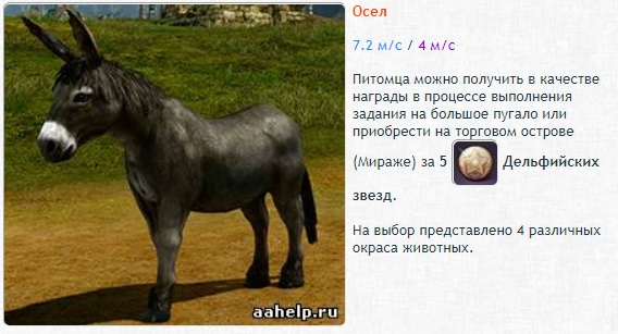 Ездовые питомцы в ArcheAge. Гайд - картинки